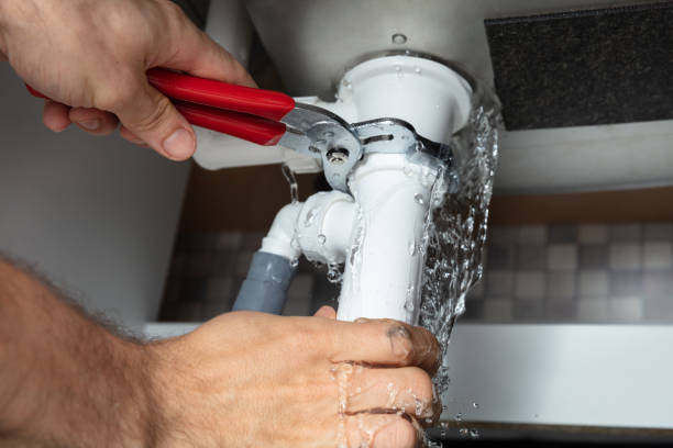 Best Water damage restoration mold remediation  in Snohomish, WA