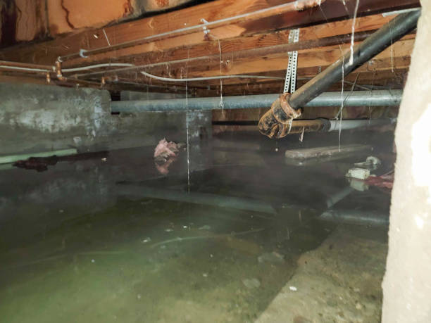 Best 24/7 water damage repair  in Snohomish, WA