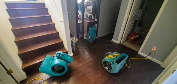 Best Emergency water damage restoration  in Snohomish, WA