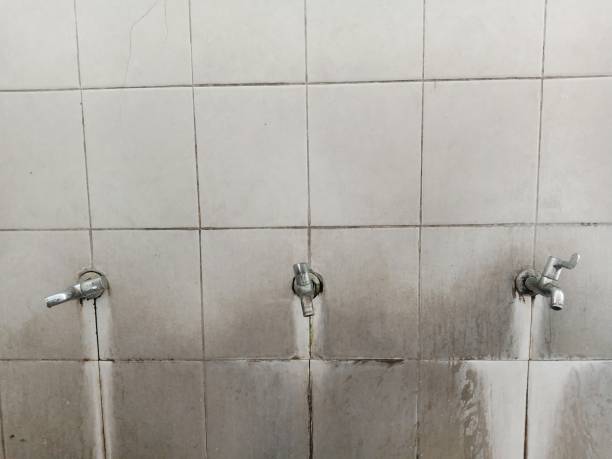 Best Ceiling water damage repair  in Snohomish, WA