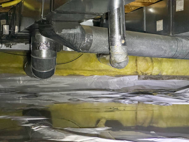Best Water damage cleanup near me  in Snohomish, WA