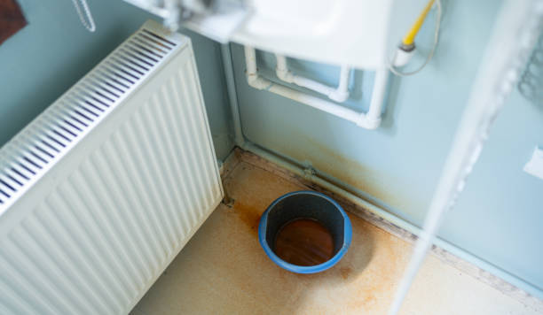 Best Residential water damage restoration  in Snohomish, WA