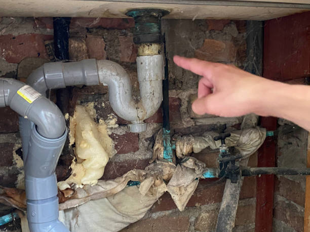 Best Basement water damage restoration  in Snohomish, WA