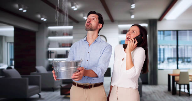 Best Water damage contractors near me  in Snohomish, WA